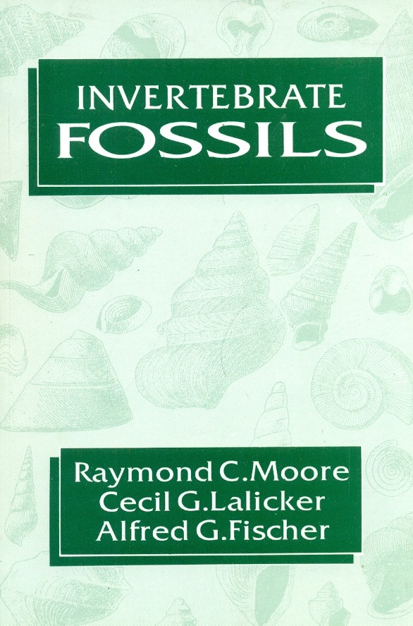 Invertebrate Fossils (Pb 2004)