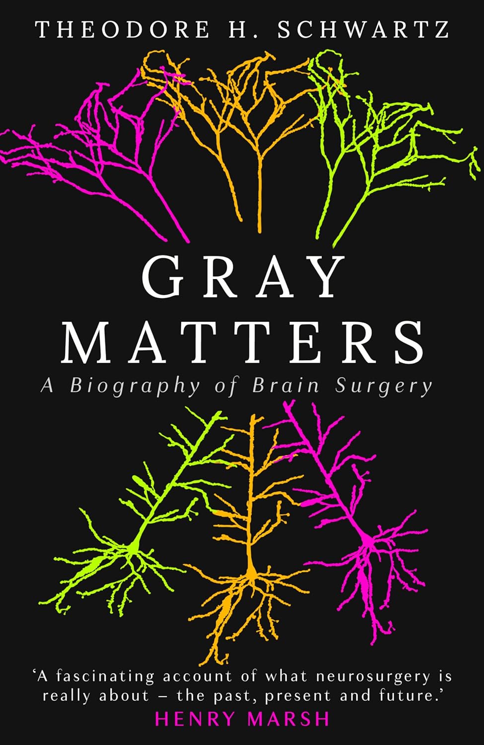 Gray Matters A Biography of Brain Surgery