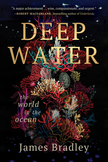 Deep Water The World in the Ocean