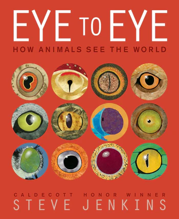 Eye to Eye/How Animals See the World How Animals See the World