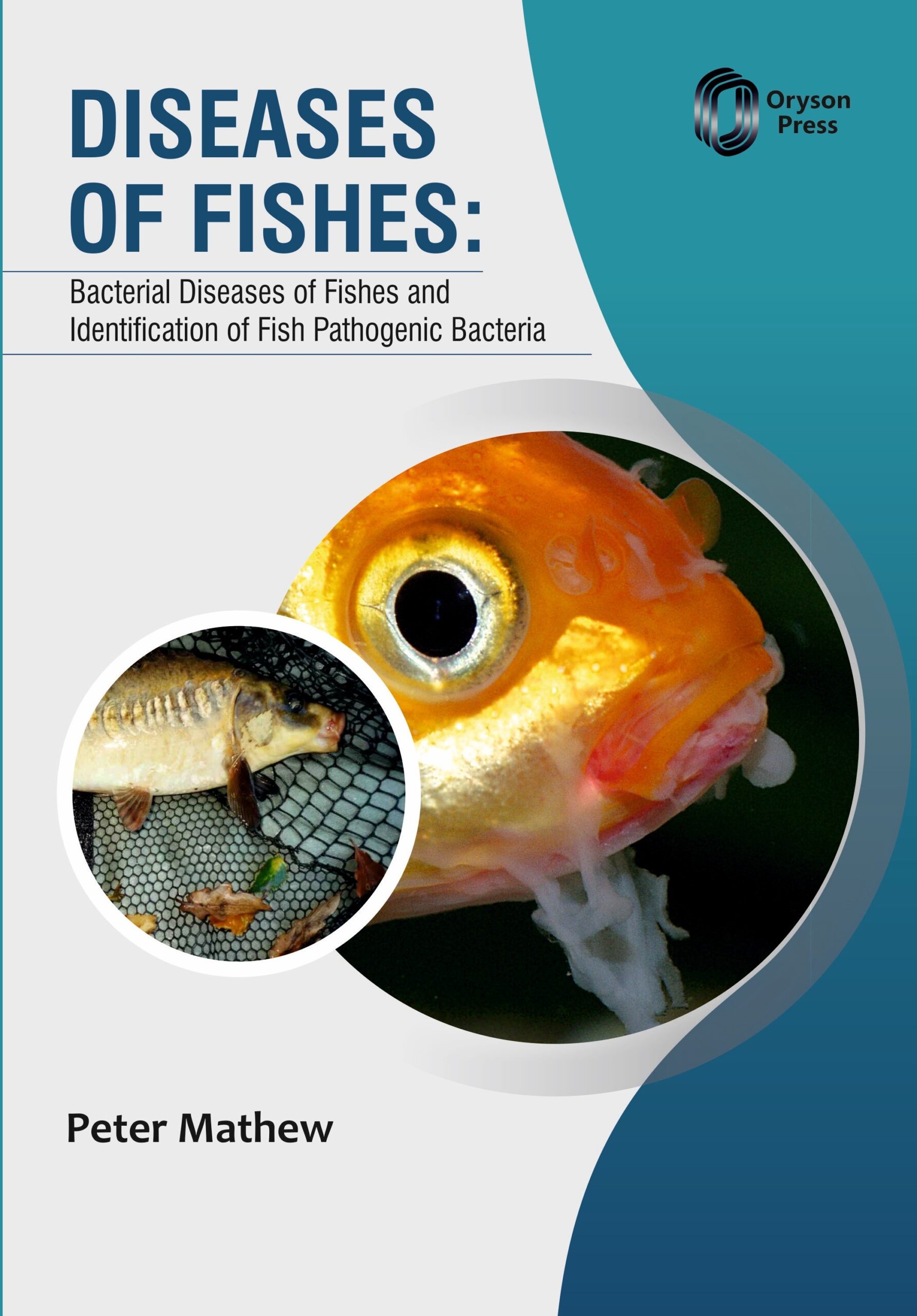 Diseases of Fishes: Bacterial Diseases of Fishes and Identification of Fish Pathogenic Bacteria