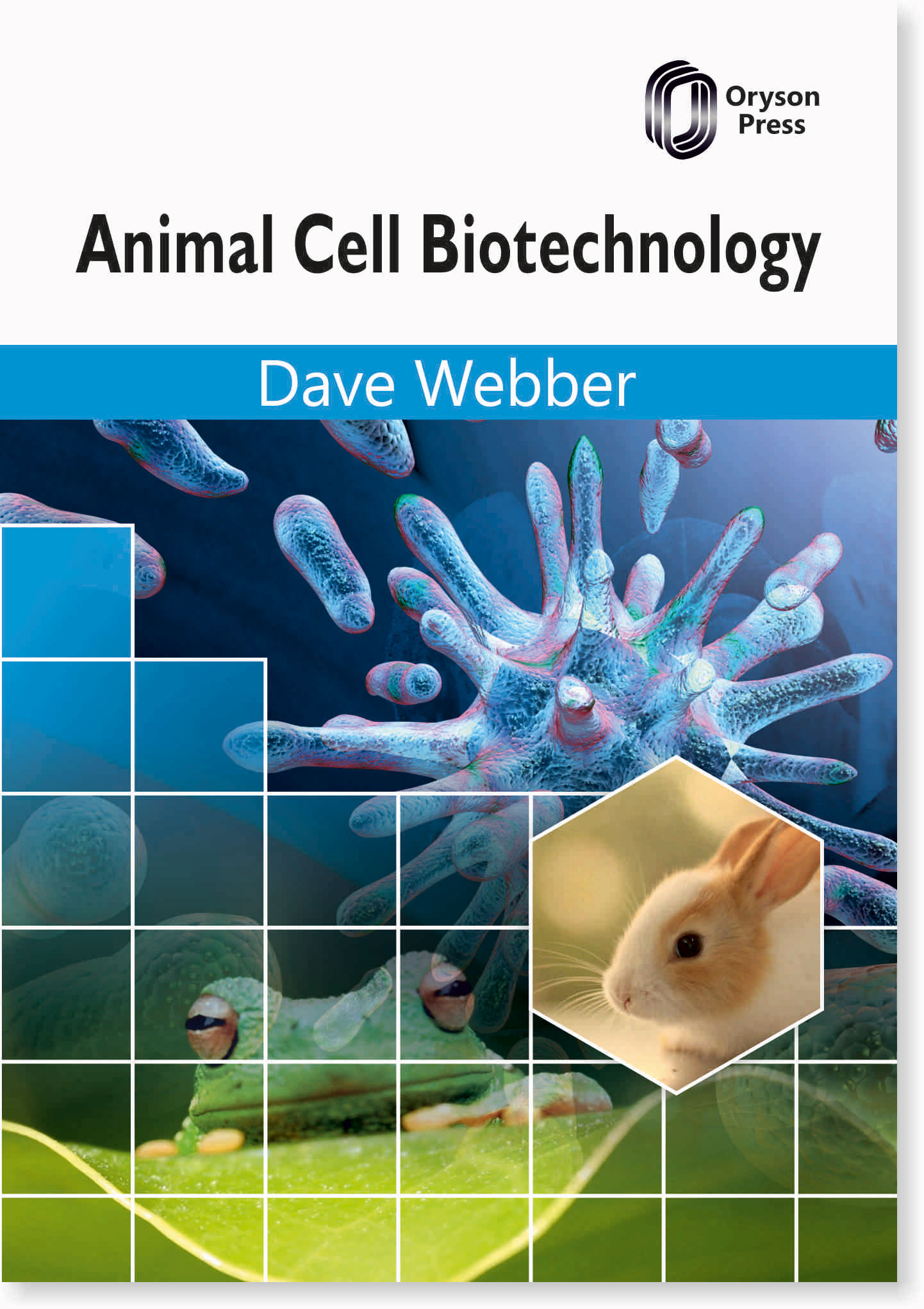 Animal Cell Biotechnology