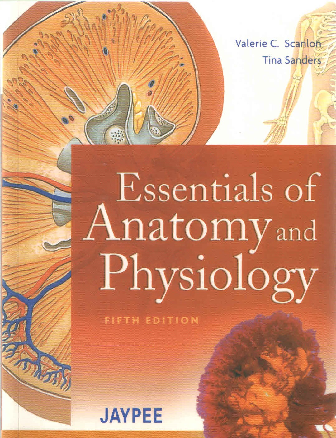 Essentials of Anatomy and Physiology