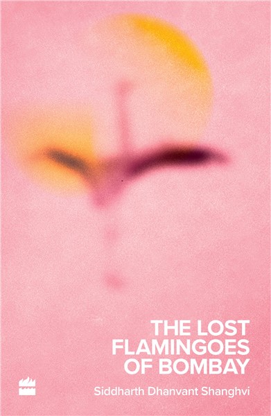 LOST FLAMINGOES OF BOMBAY