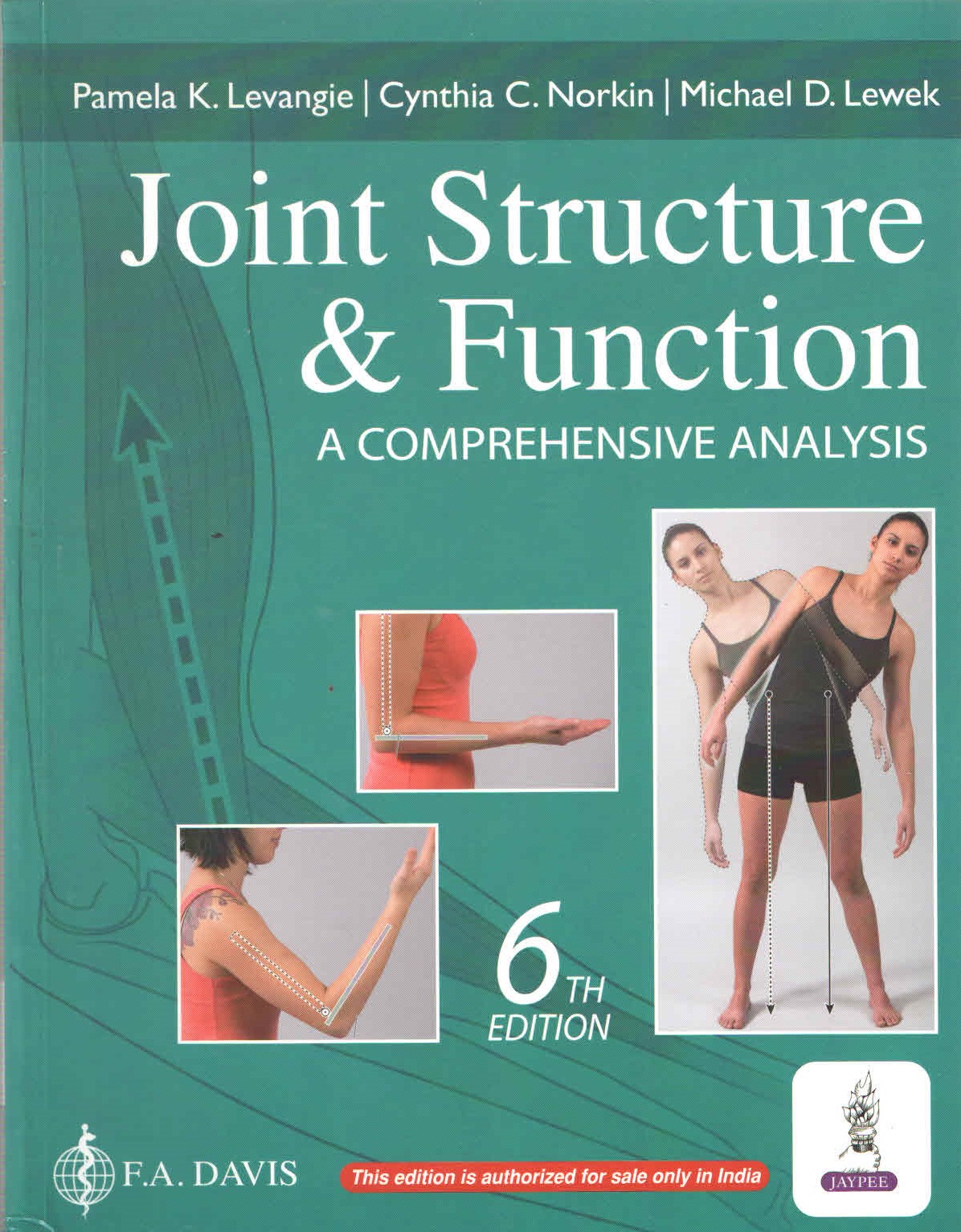 Joint Structure & Function: A Comprehensive Analysis