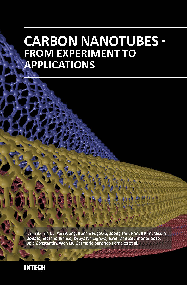CARBON NANOTUBES FROM EXPERIMENT TO APPLICATIONS