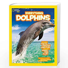Everything: Dolphins