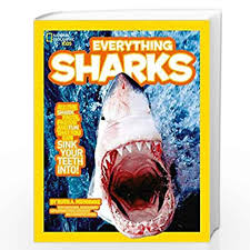 Everything: Sharks