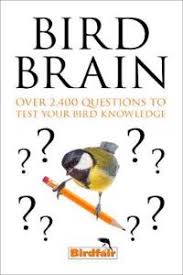 Bird Brain: 500 Fiendish Questions To Test You