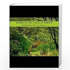 TIGERS IN THE EMERALD FOREST