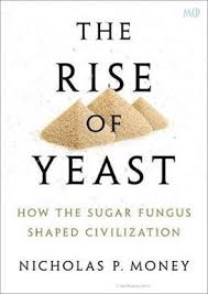 RISE OF YEAST C