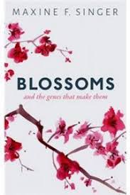 BLOSSOMS C