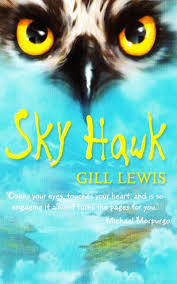ROLLERCOASTERS:SKY HAWK READER
