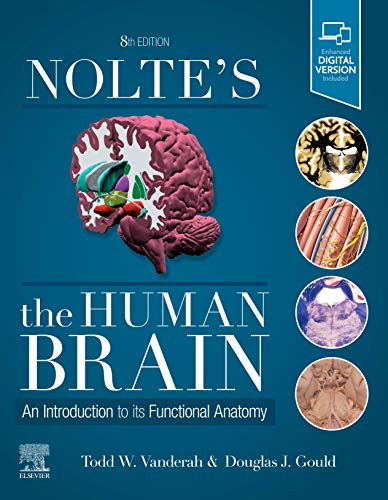 Noltes The Human Brain E-Book: An Introduction to its Functional Anatomy 