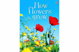 How Flowers Grow