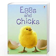 Eggs And Chicks