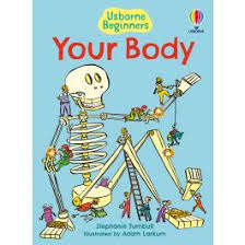 Your Body
