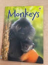Monkeys