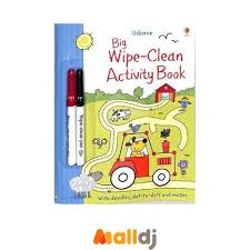 Big Wipe-Clean Activity Book