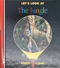 LET'S LOOK AT THE JUNGLE