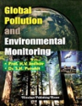 Global Pollution and Environmental Monitoring