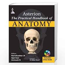 Asterion - The Practical Handbook of Anatomy