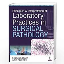 Principles and Interpretation of Laboratory Practices in Surgical Pathology