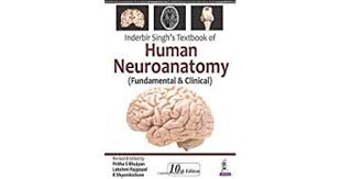 Inderbir Singh's Textbook of Human Neuroanatomy (Fundamental and Clinical)