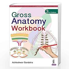 Gross Anatomy Workbook (3rd Edition)