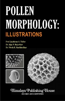Pollen Morphology Illustrations