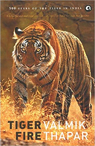 TIGER FIRE (PB)