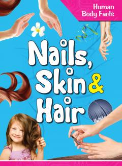 Human Body Facts: Nails, Skin & Hair